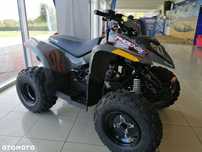 Polaris  Phoenix 200 dla dzieci Śląskie - Quad