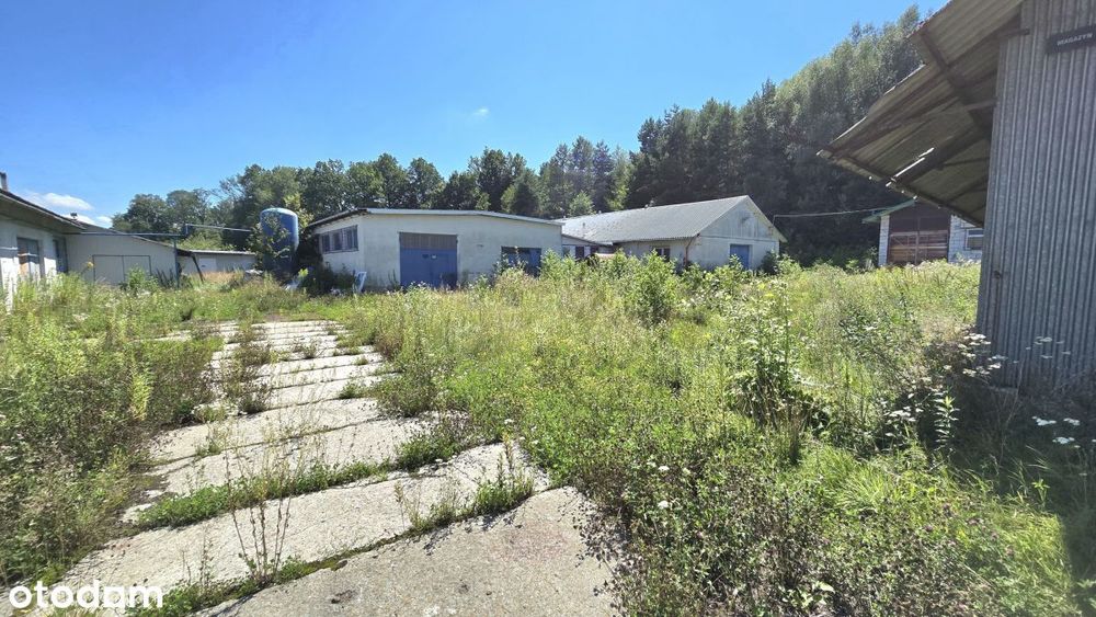 Na sprzedaż hale i budynki magazynowe