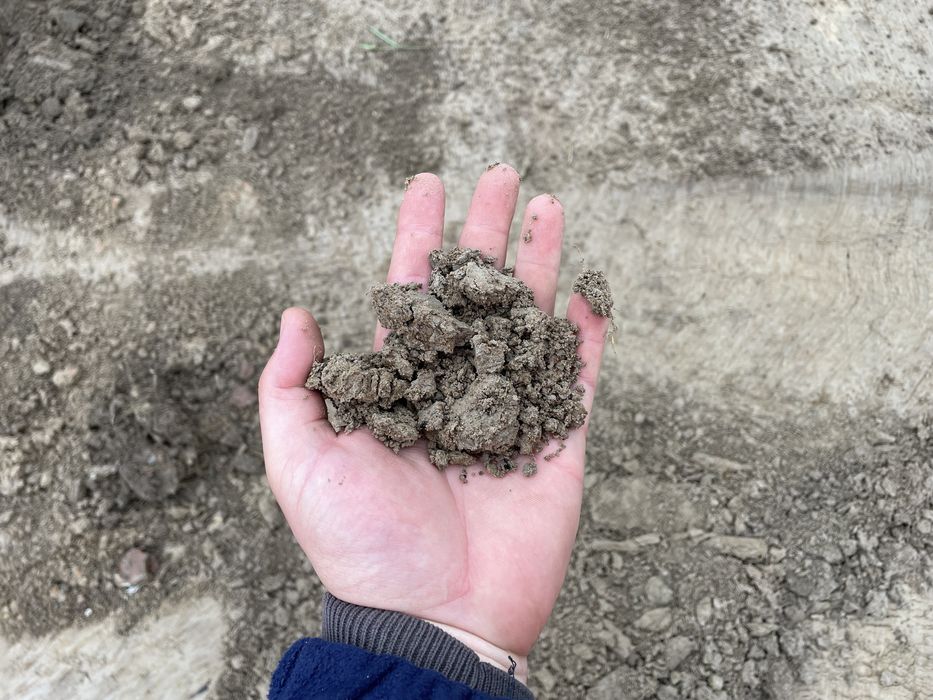 Ziemia ogrodowa , ziemia zwykła budziwój okolice