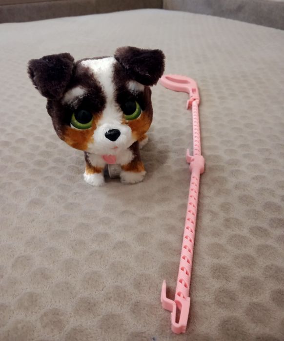 Інтерактивна собачка Fun Real Friends Бернедудель. ОРИГІНАЛ