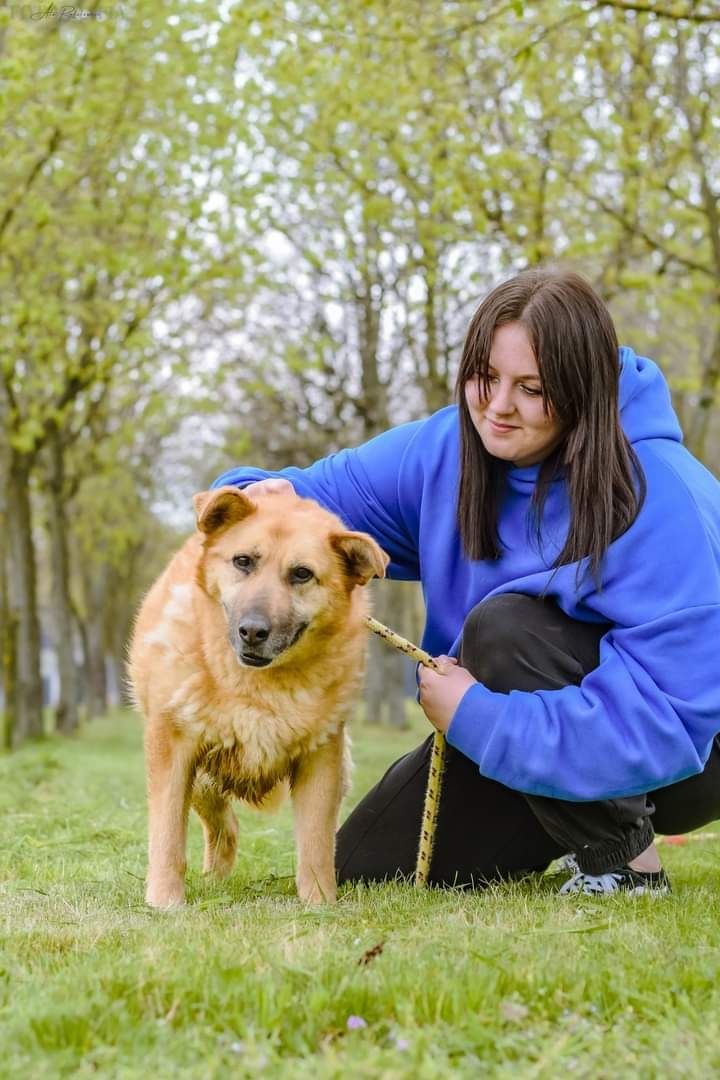 Ta piękna sunia miała tylko 2 lata jak trafiła do schroniska...