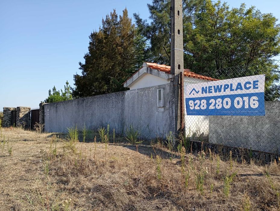 Quinta com 3 casas, vinha, olival e água em abundância, inclui recheio