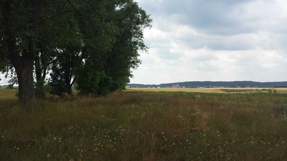 Działka rolna, podzielona na 13, możliwość wystąpienia WZ, Wiele