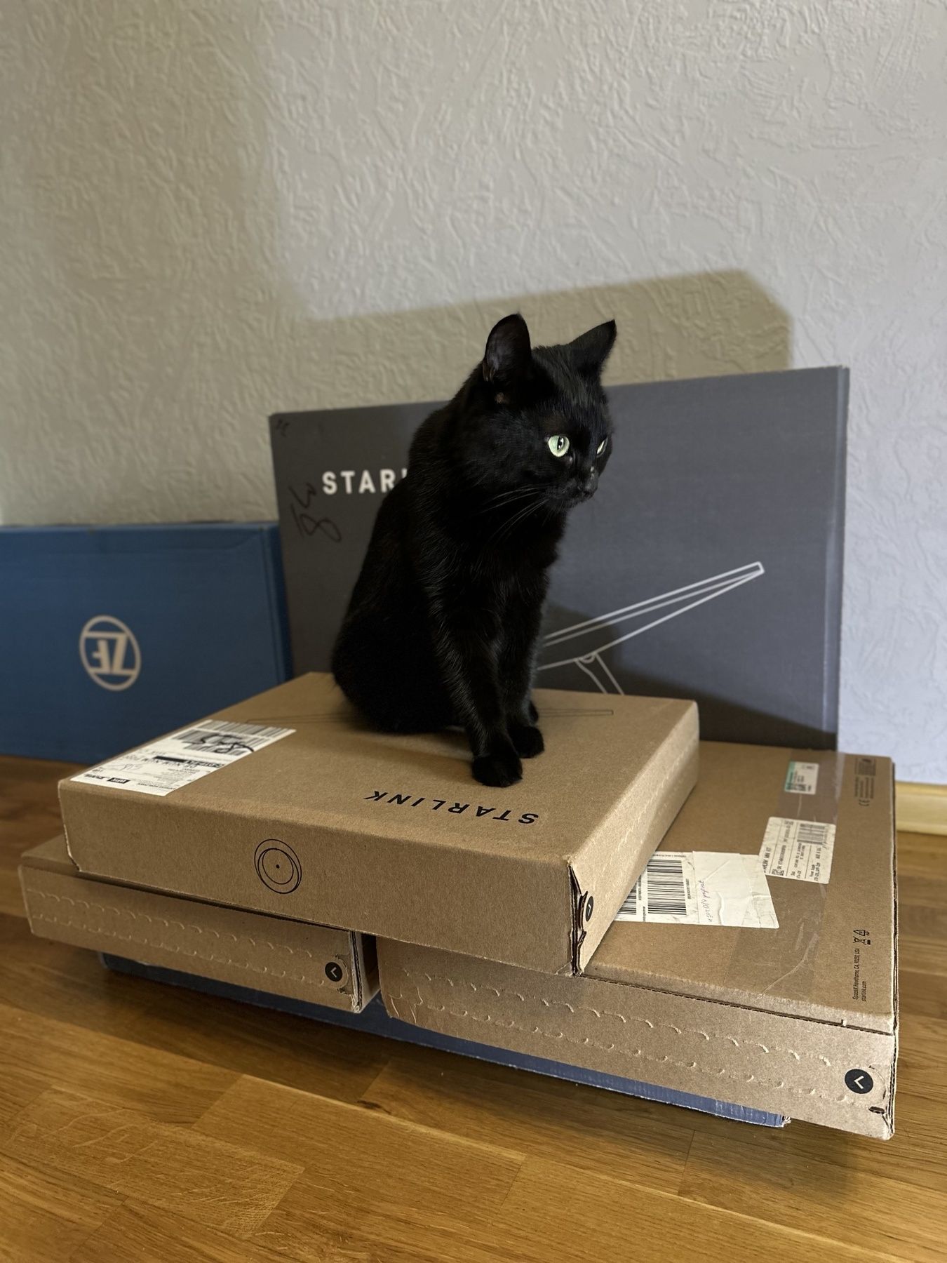 Starlink mini без акаунта
