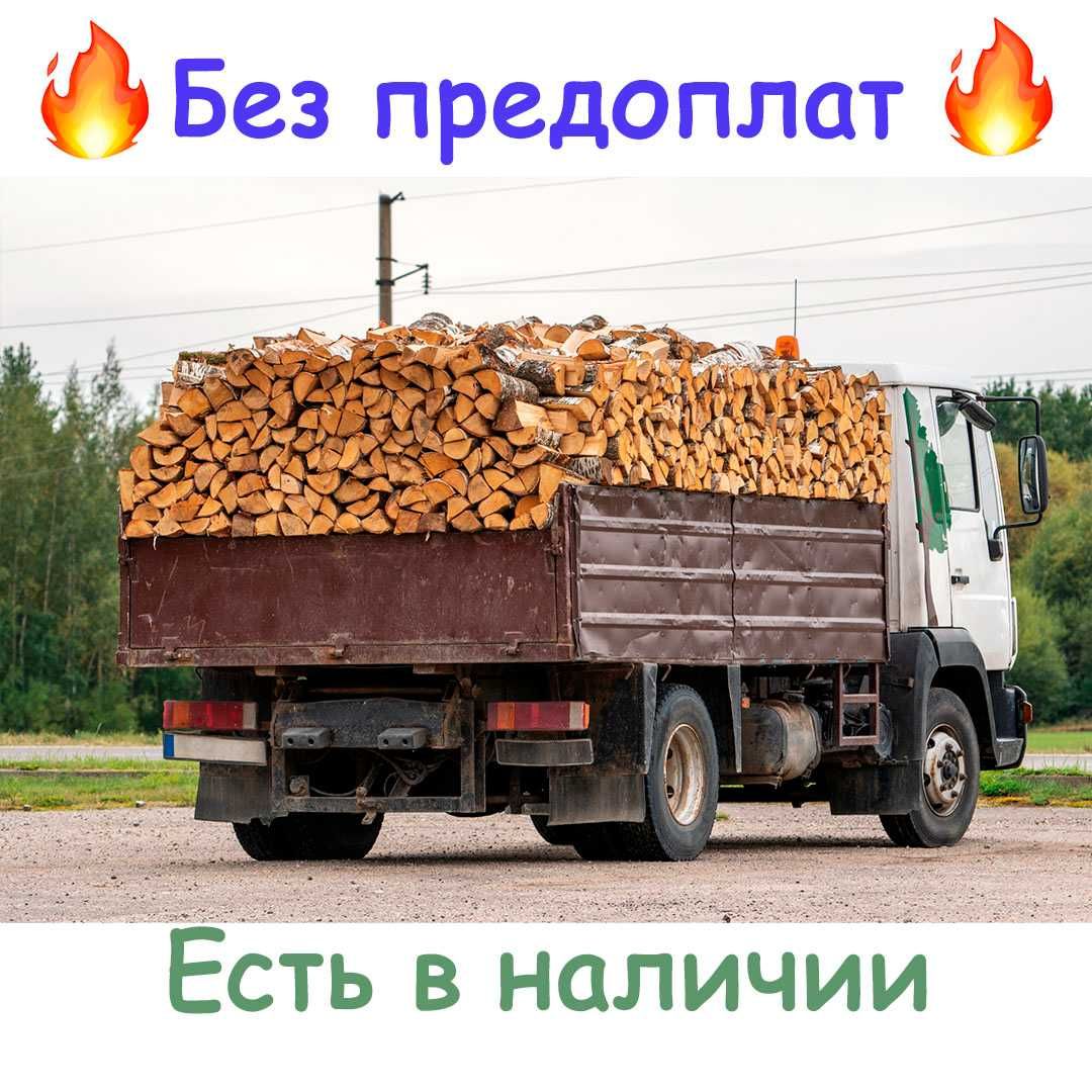 Дрова в наличии , без предоплат на общак , з документами