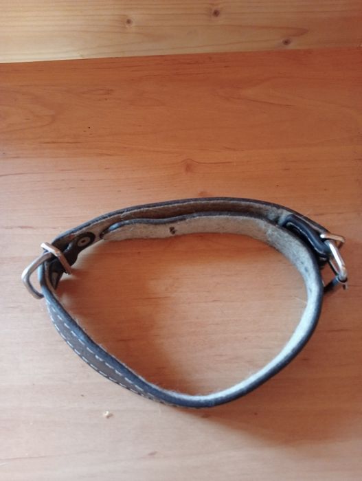 Obroża dla średniego psa