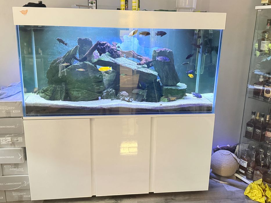 Akwarium zestaw 700l