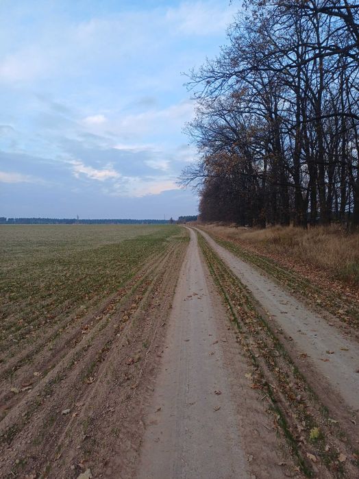 Продаж земельної ділянки с. Забір'я