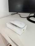 Magic Mouse Apple