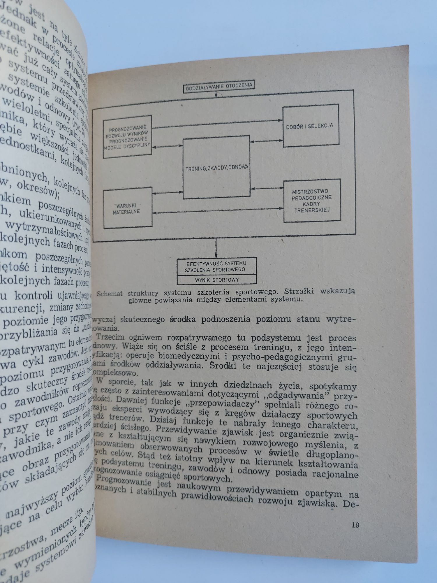 Współczesny system szkolenia w sporcie wyczynowym - Zenon Ważny