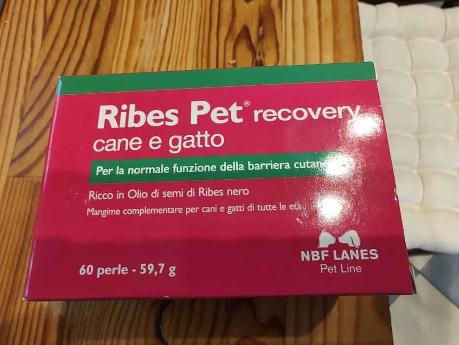 Ribes Pet recovery Cane e Gatto 60 kaps