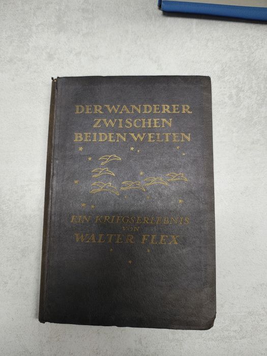 Derwander Zwischen Brudem Welten. Walter Flex. 1918