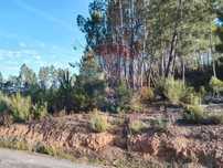 Terreno  para arrendamento