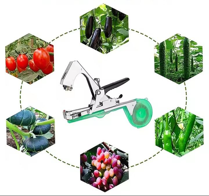 Maquina de amarração de plantas