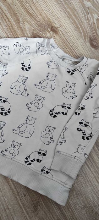 Beżowa Bluza H&M W Misie Chłopięca