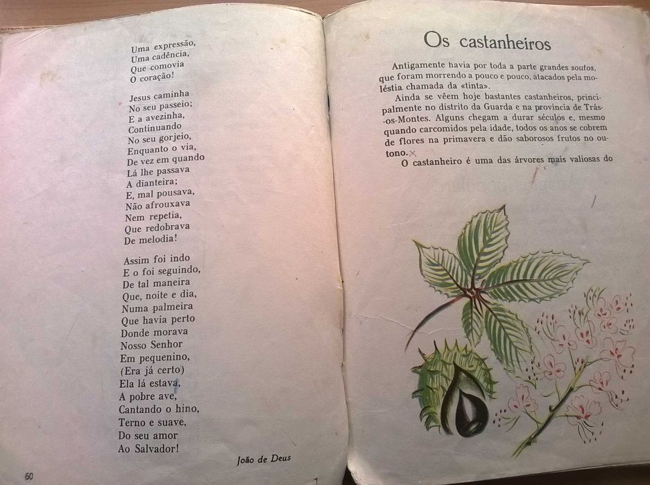 O Livro da Segunda Classe - Editora Educação Nacional