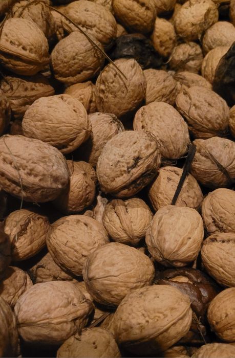 Orzechy włoskie 2025