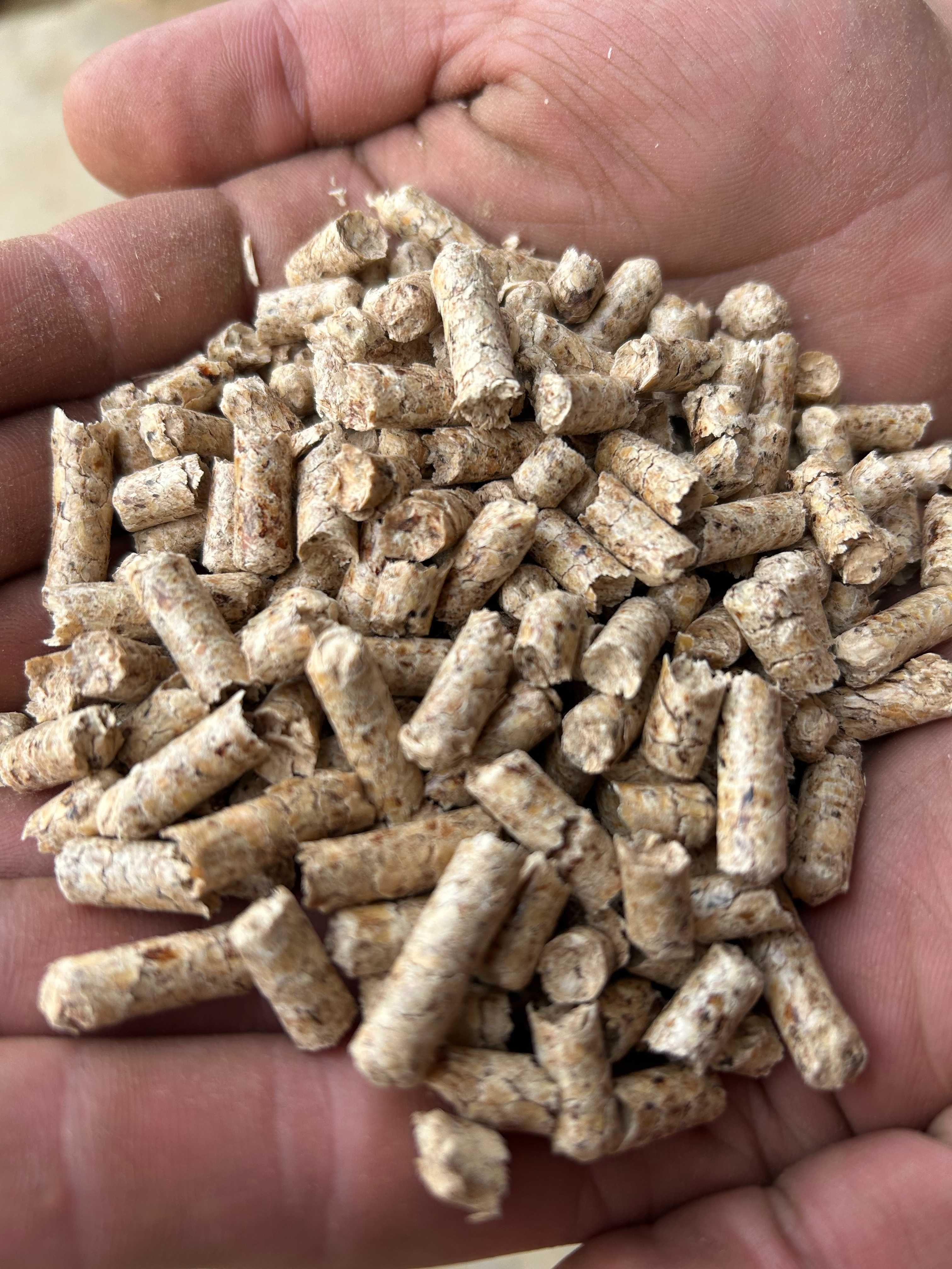 Pellet sosnowo bukowy A1