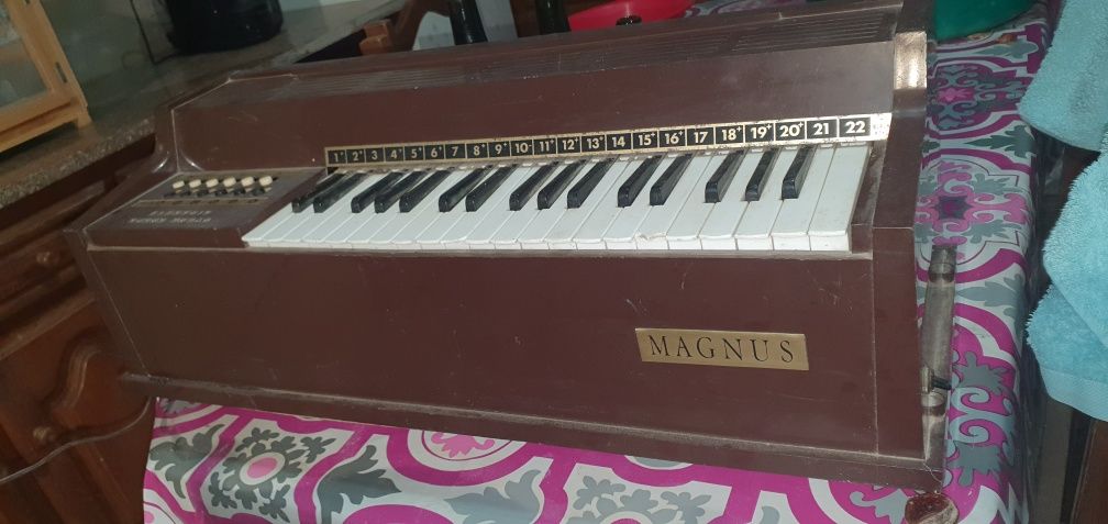 Electric chord organ magnus