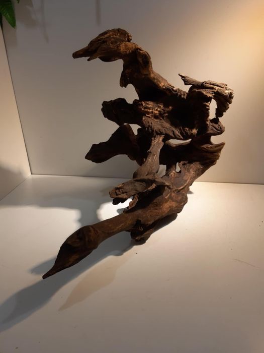 Korzeń do akwarium/terrarium