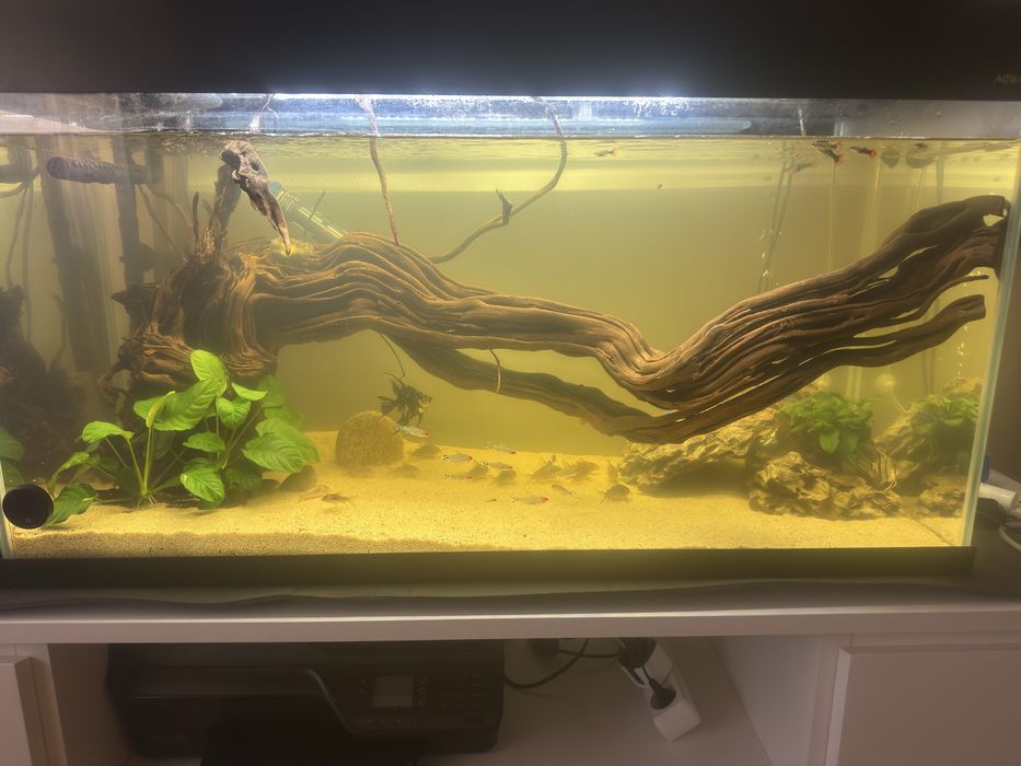 Aquario Aquael 200L Completo