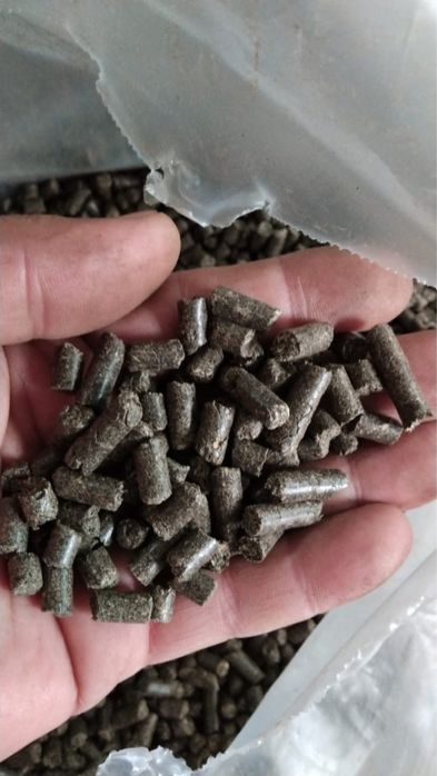 Pellet z luzgi sloniecznika 750  zl/t netto Olsztyn