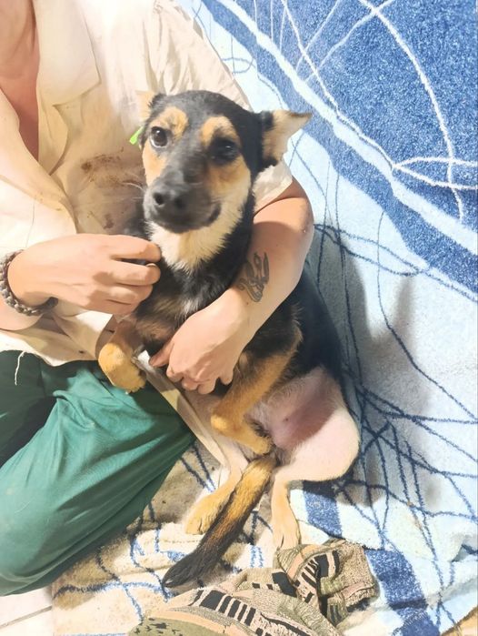 Малюки в родини!