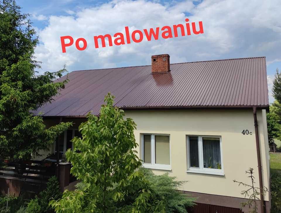 Mycie malowanie dachów elewacji, Montaż rynien, pracę wysokościowe