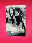O ANIMAL SOCIAL - W. G. Runciman