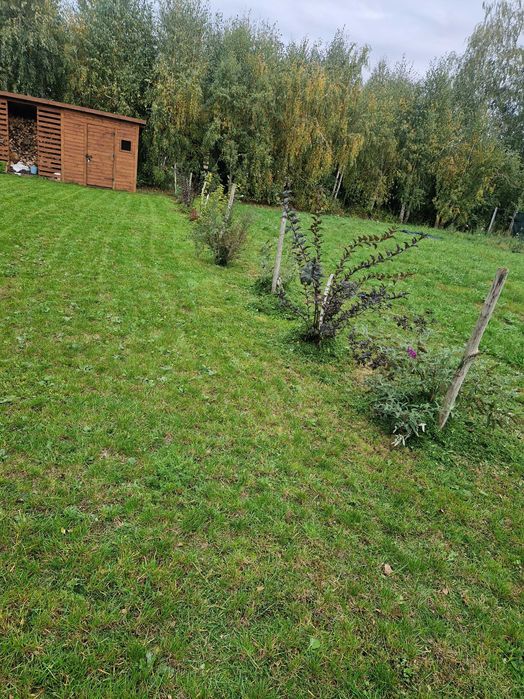 Domek nad jeziorem