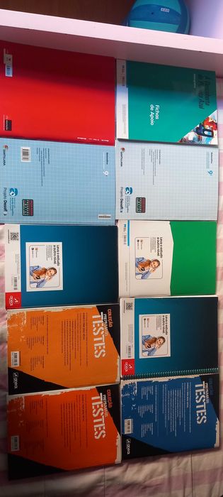 Cadernos de fichas 9º ano