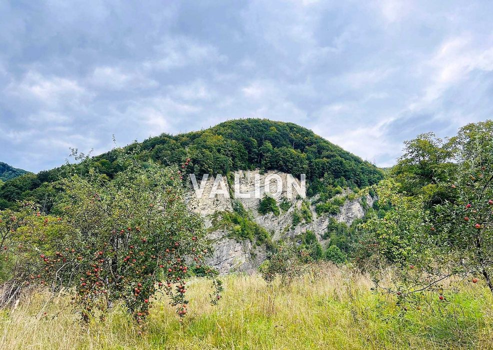 Продаж земельної ділянки вул. Окружна, с. Міжброди, Чернівецька обл.