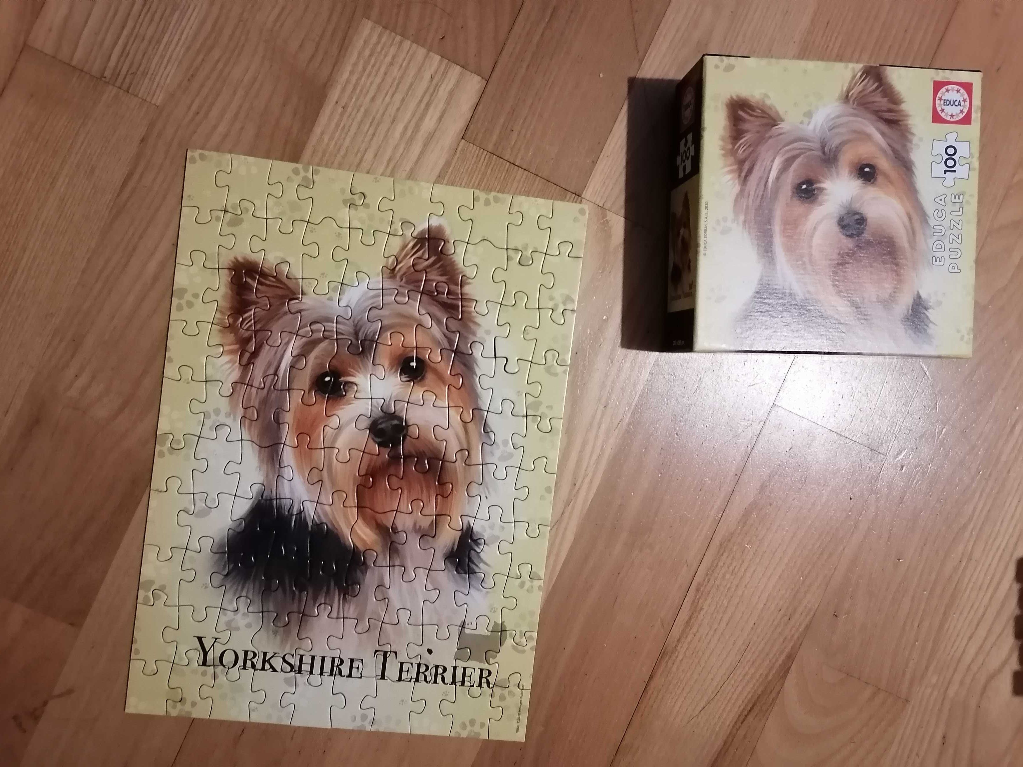 Puzzle 100szt. Pies York