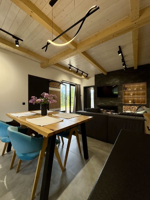 Будинок в Карпатах