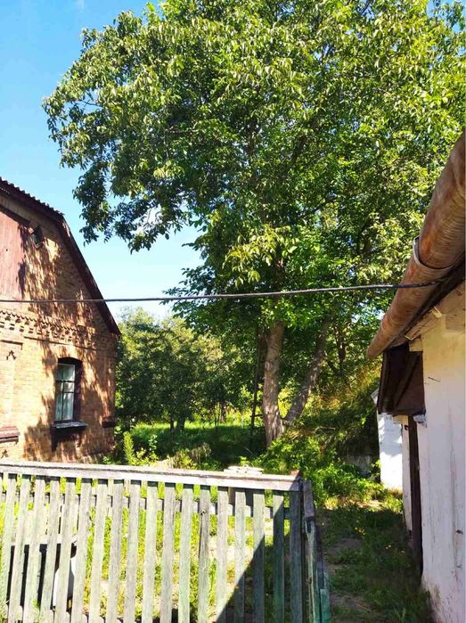 Будинок з садком та ділянкою