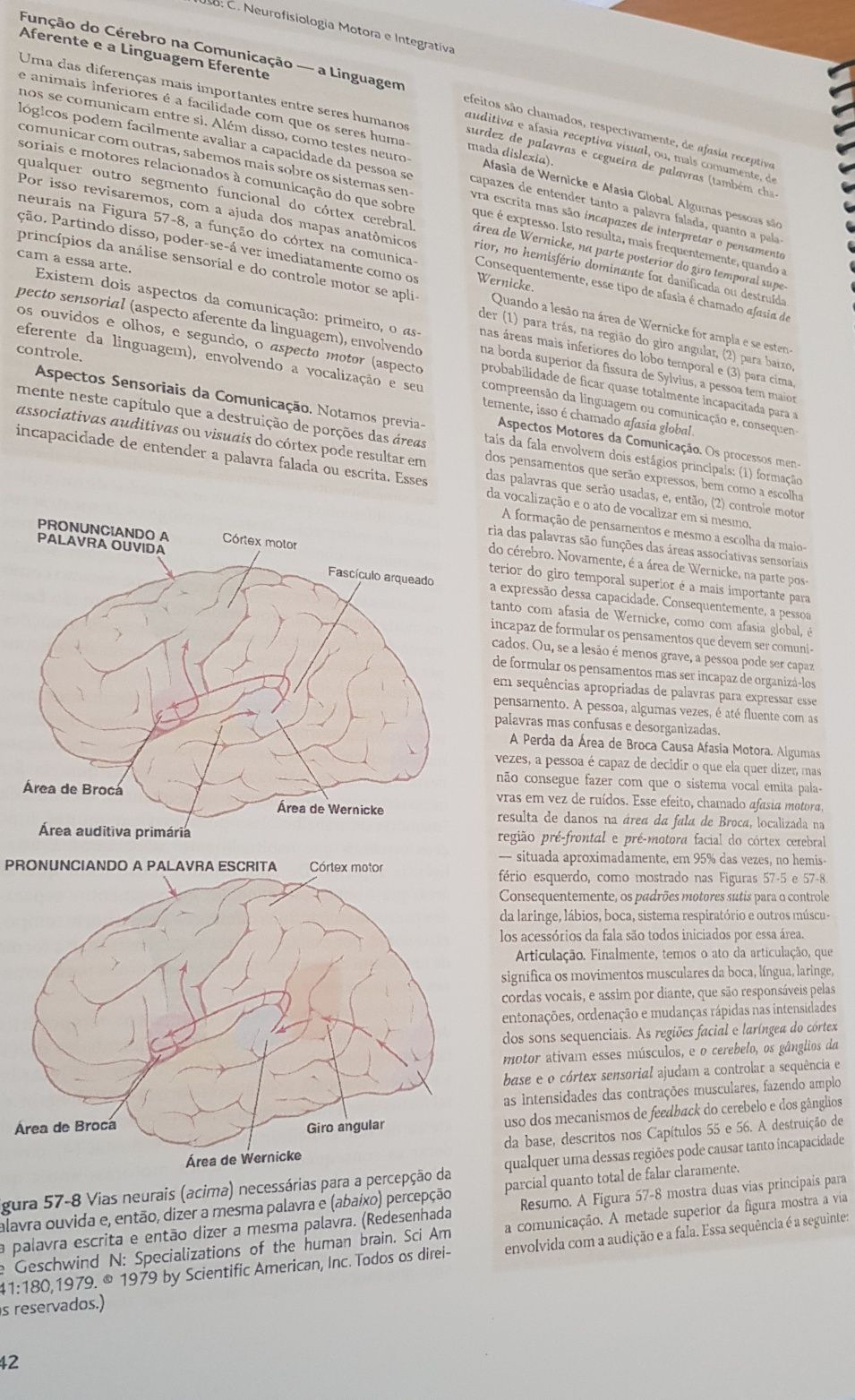 Tratado de Fisiologia Médica Guyton & Hall