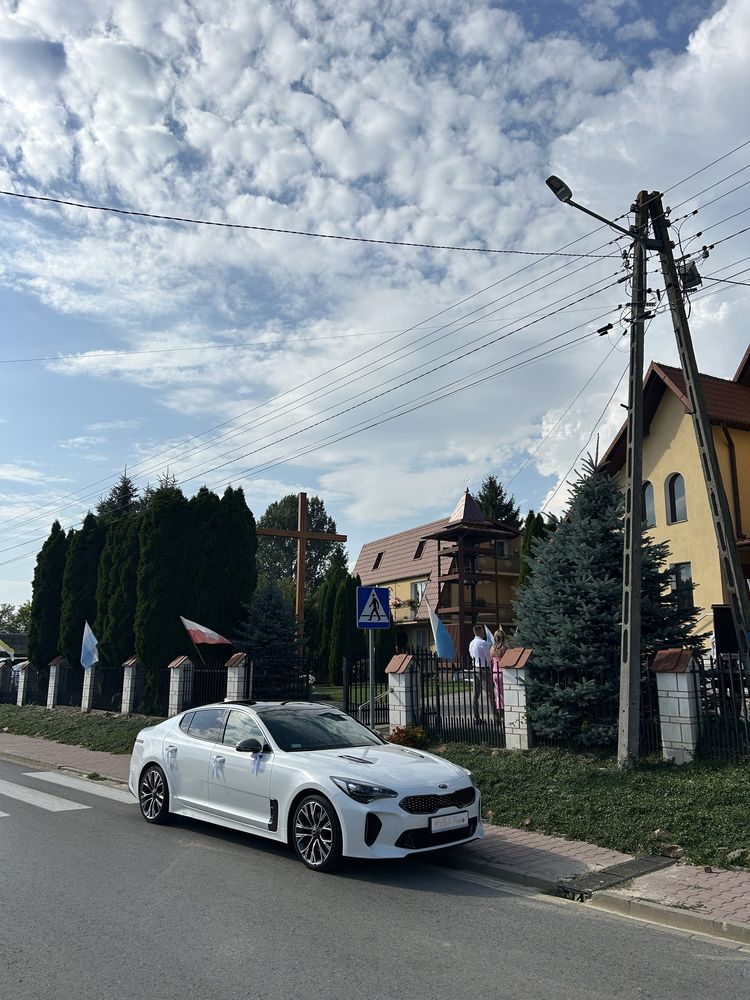 Auto do ślubu/ na wesele kia stinger