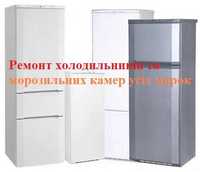 Ремонт холодильников и морозильной  камери  по городу и области