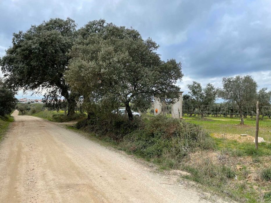 Herdade mista com 50000mt