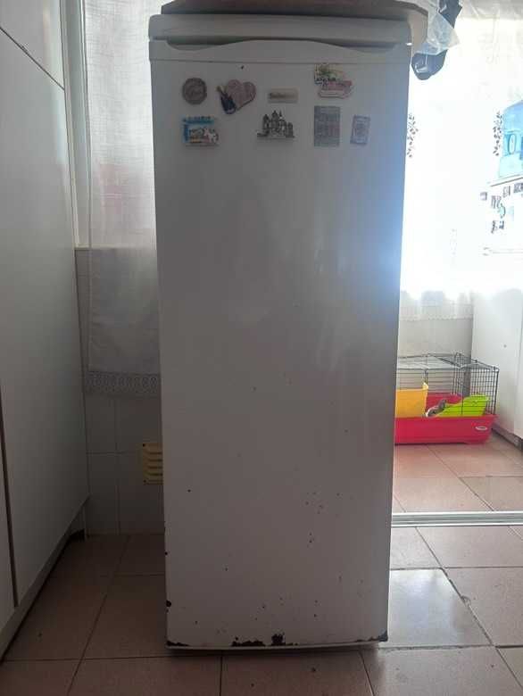Frigorifico vertical