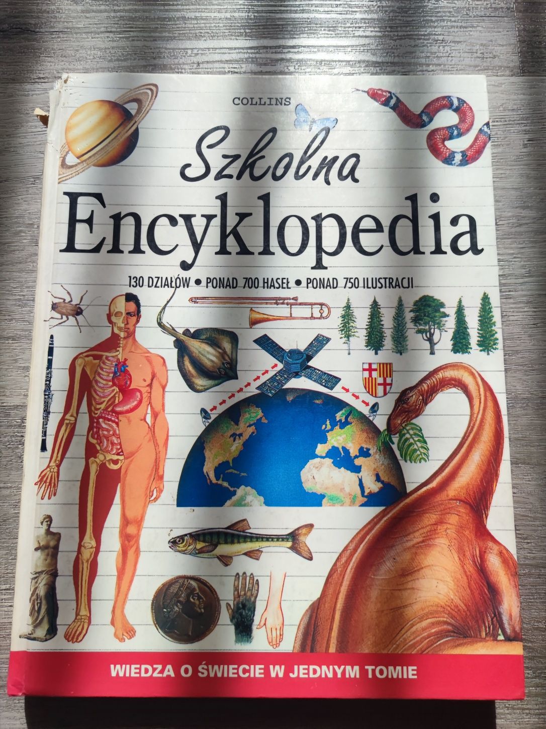 Książka "Szkolna encyklopedia"