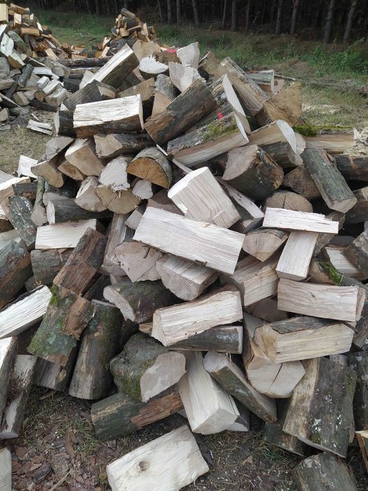 Olcha, Brzoza, Dąb, Buk, Grab kominkowy