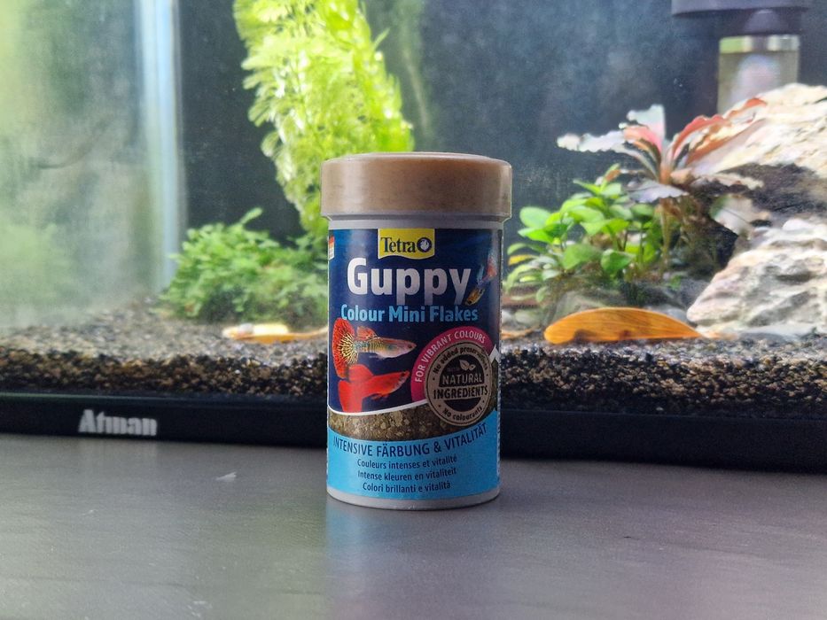 Tetra Guppy mini flakes.