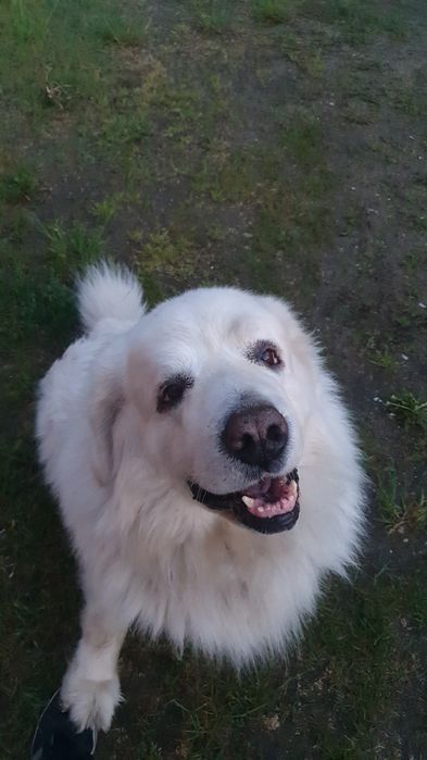 Domek pokoje noclegi balia jacuzzi