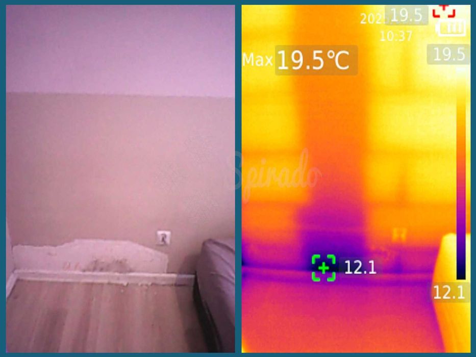 Odgrzybianie ścian – Usuwanie pleśni – Pomiar wilgotności – Termowizja