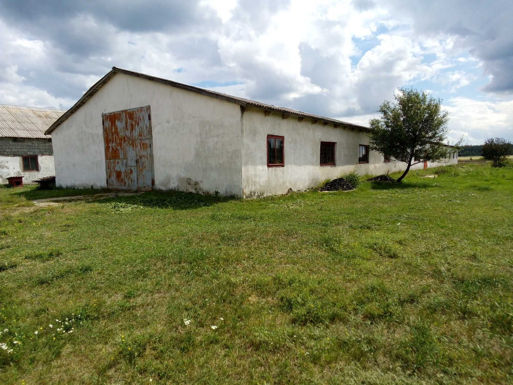 Продається деревообробне підприємство