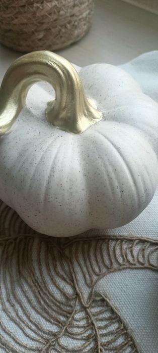 Dynie jesienne , poszewka i żołądź