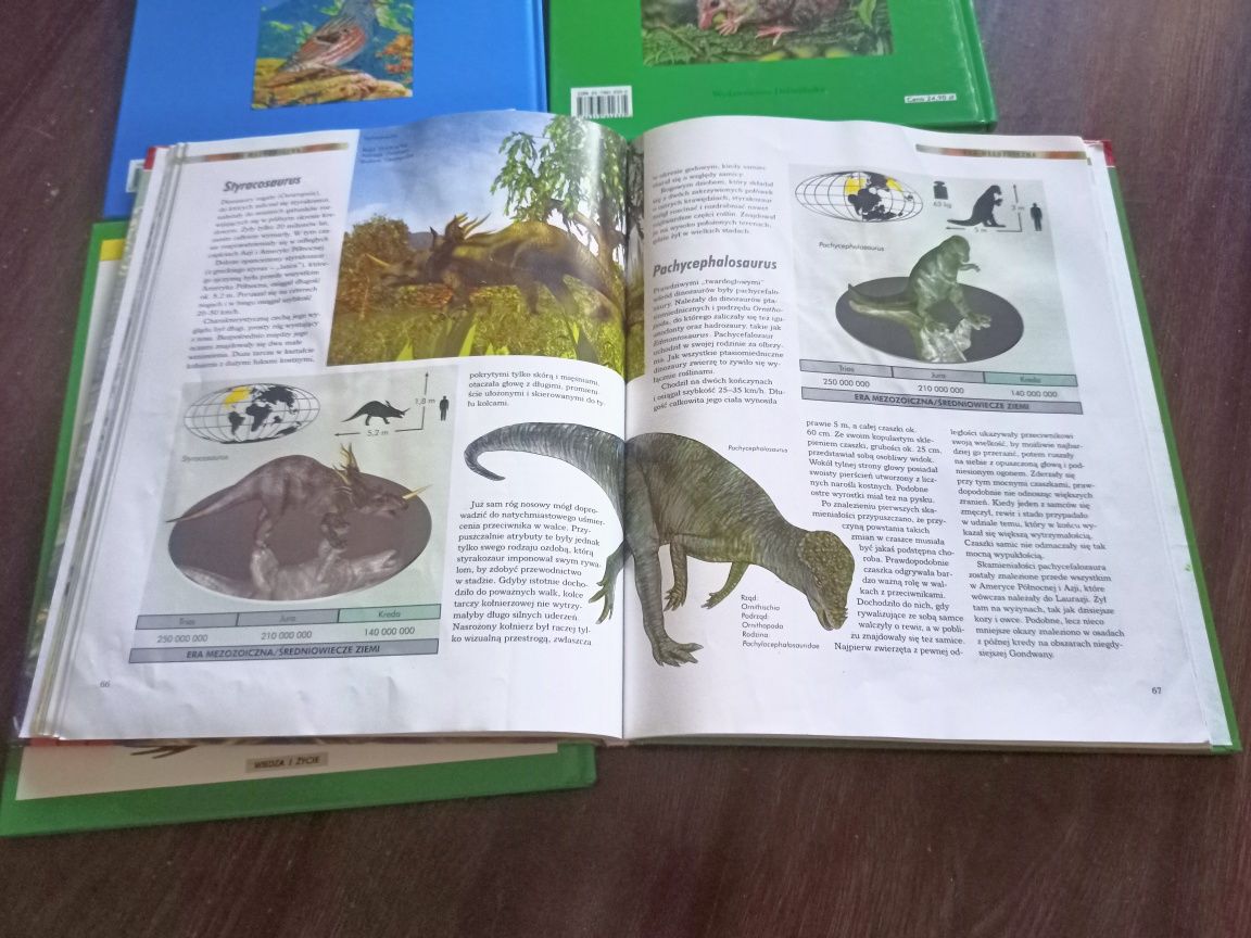 4 k Albumy Rzadkie Ptaki Dinozaury Sekrety Małych Ssaków