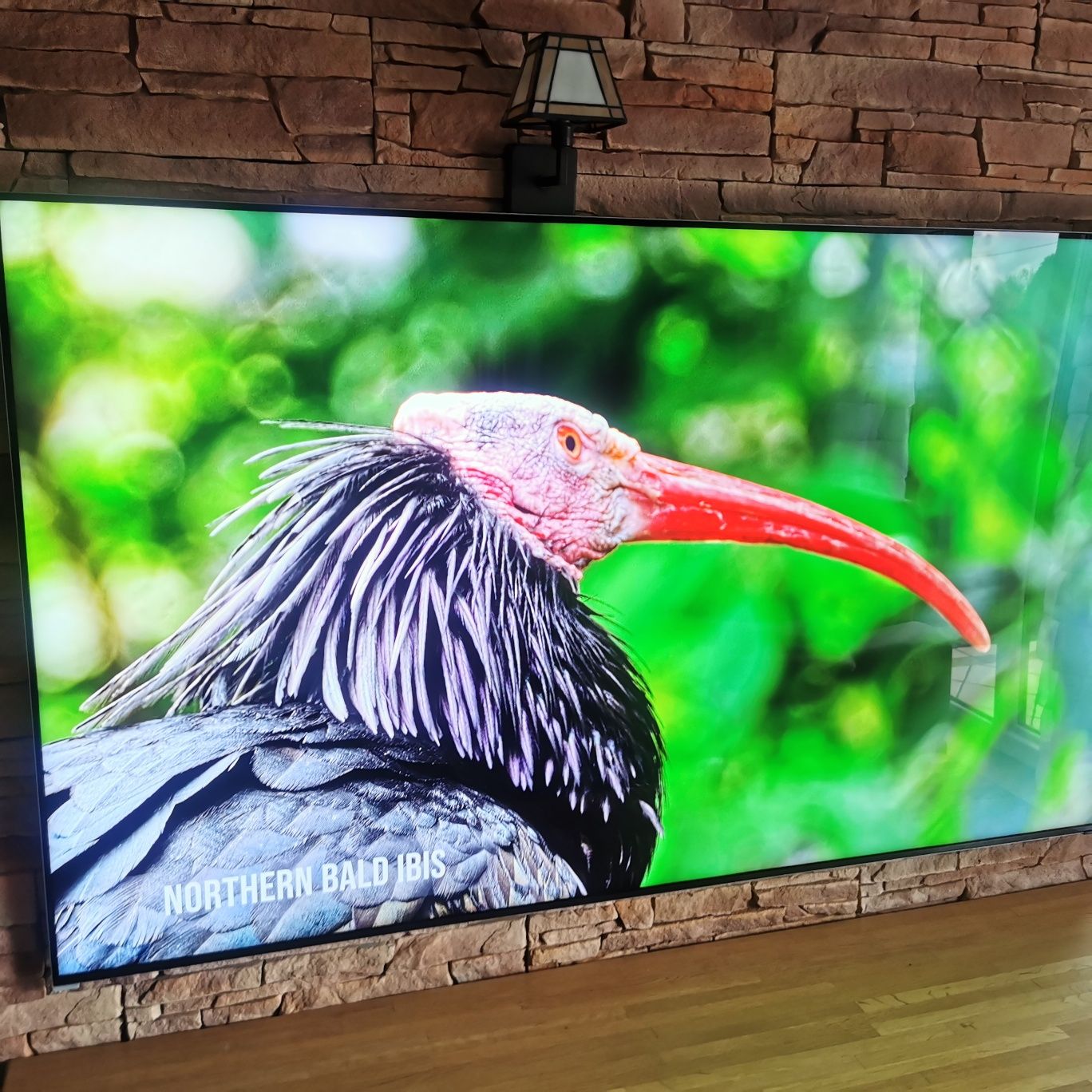 Telewizor SAMSUNG QE65QN800D 65" NEO QLED 8K Mini LED 120Hz