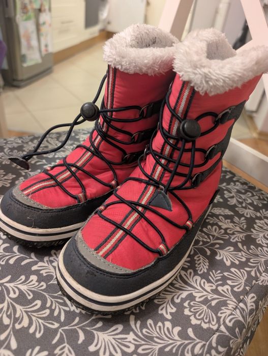 Śniegowce iguana r35